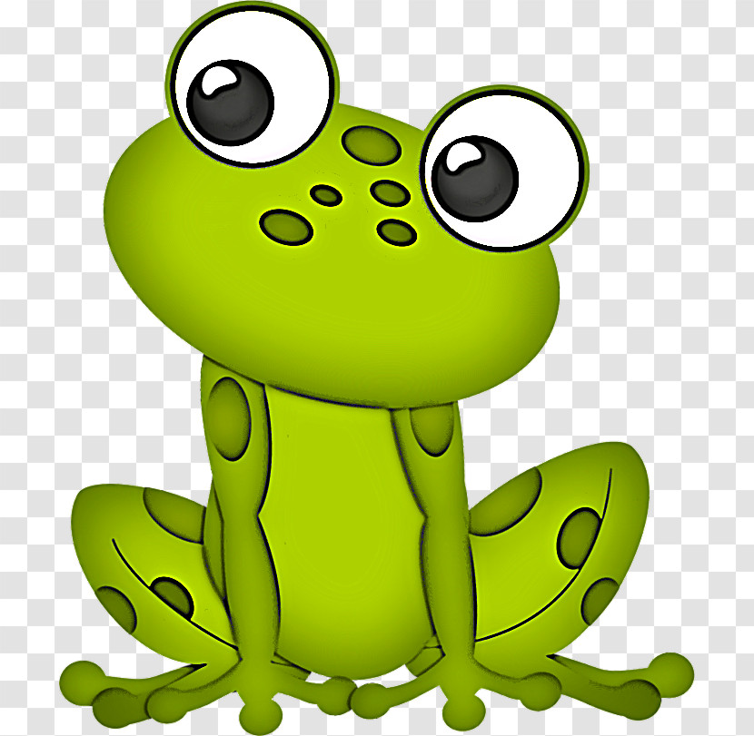 Green Frog True Frog Cartoon Tree Frog Transparent PNG