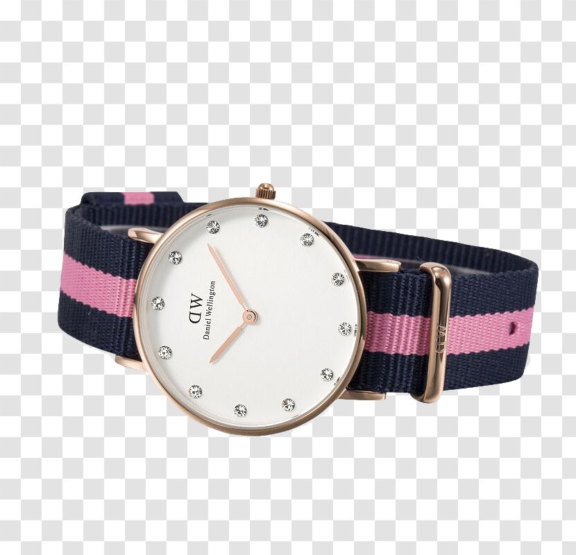 Daniel Wellington Watch Strap - Women Transparent PNG