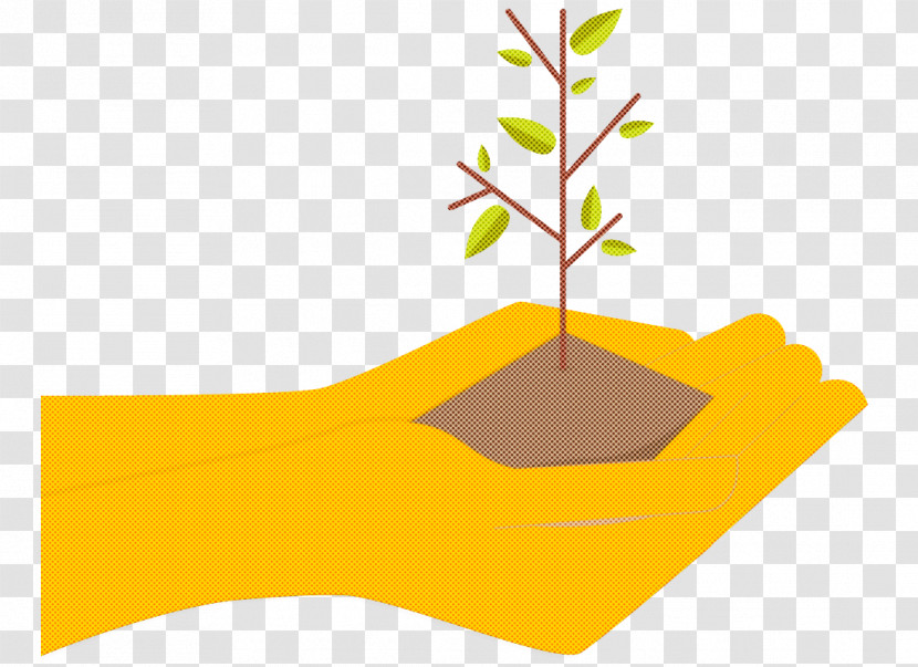 Leaf Angle Line Yellow M-tree Transparent PNG