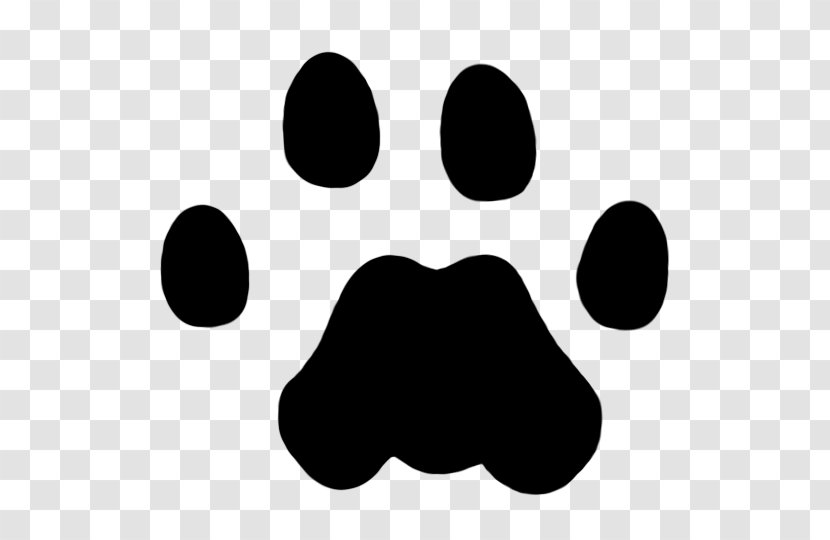 Cougar Lion Dog Animal Track Paw - Cat Transparent PNG