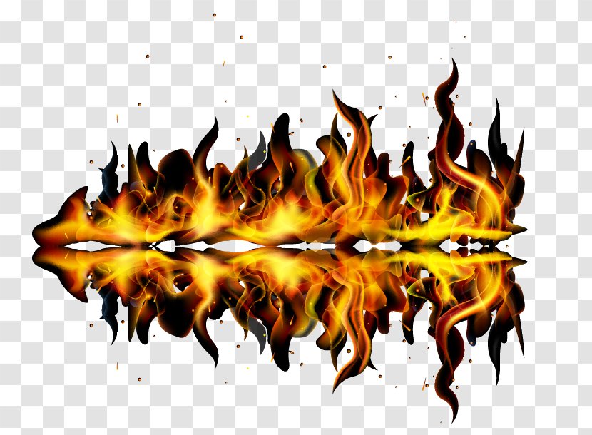 Shape - Computer Graphics - Fire Vector Shapes And Reflections Transparent PNG