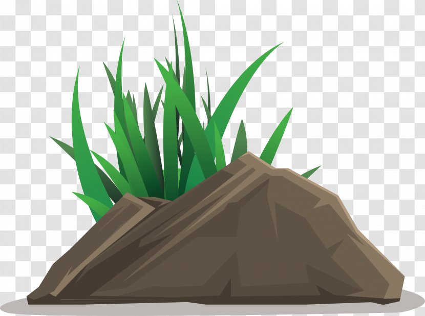 Stone Grass Vector AI - Plant - Product Design Transparent PNG