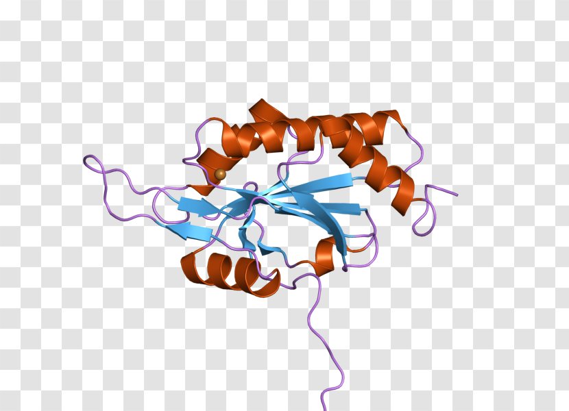 SCO1 SCO2 Structure Gene Art - Frame - Heart Transparent PNG