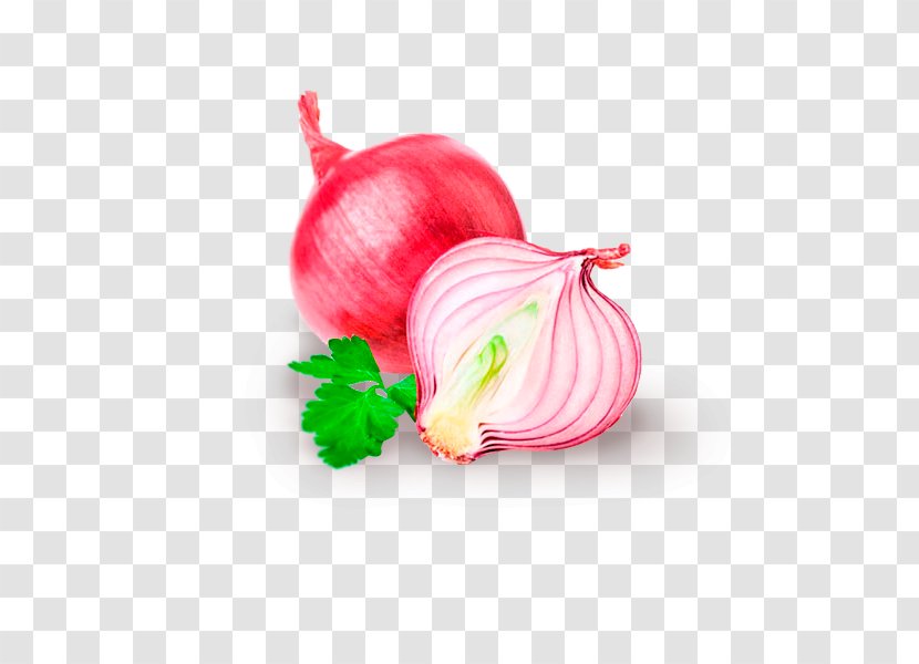Red Onion Food Stock Photography Health Shallot - Royalty Payment Transparent PNG