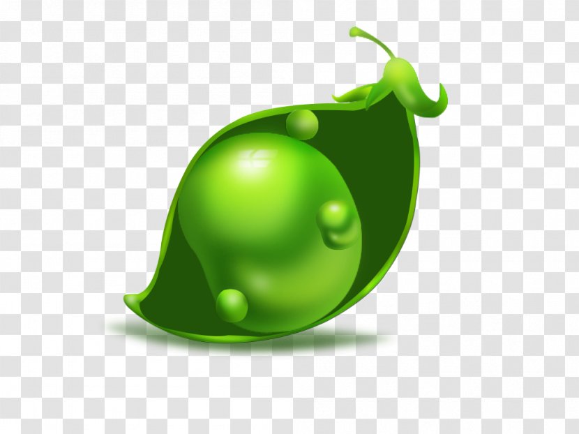 Pea Green Bean Common - Germination Transparent PNG