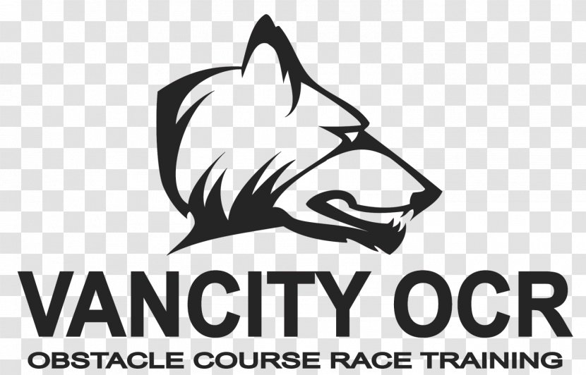 Cat Logo Vancity OCR Graphic Design - Vertebrate Transparent PNG