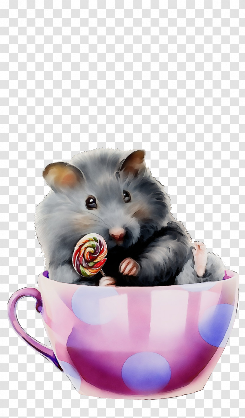 Hamster Transparent PNG