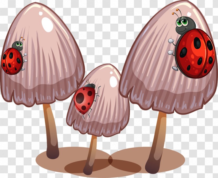 Mushroom Vector Graphics Image Illustration Food - Tummy Transparent PNG
