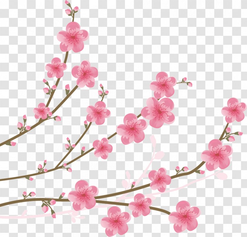 Cherry Blossom Clip Art - Royaltyfree - Watercolor Transparent PNG