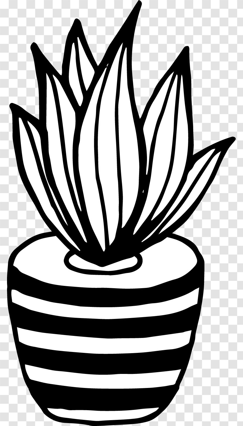 Black And White Cactaceae Drawing Art - Plant - Aloe Line Transparent PNG