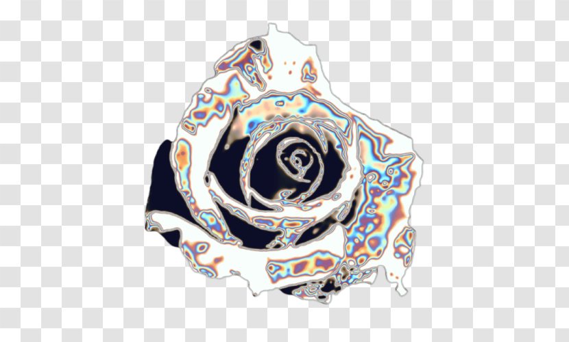 Rainbow Rose Holography - Garden Roses - Drill Crown Transparent PNG