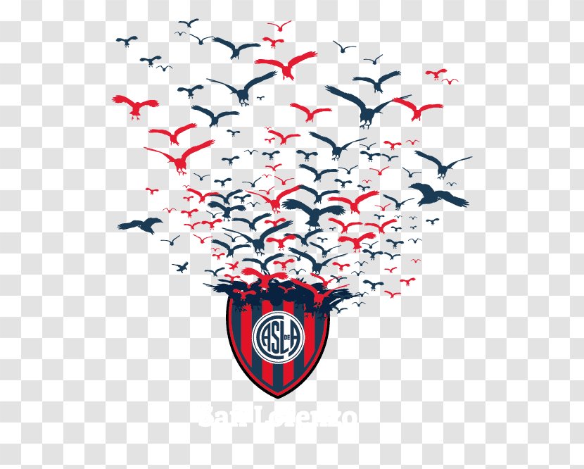 San Lorenzo De Almagro Rosario Central Newell's Old Boys Club Atlético River Plate Football - Flower Transparent PNG