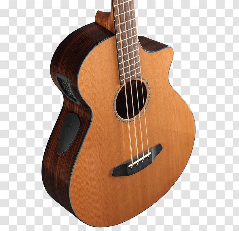 Acoustic Guitar Bass Cuatro Tiple Acoustic-electric - Tree - Musical Instrument Transparent PNG