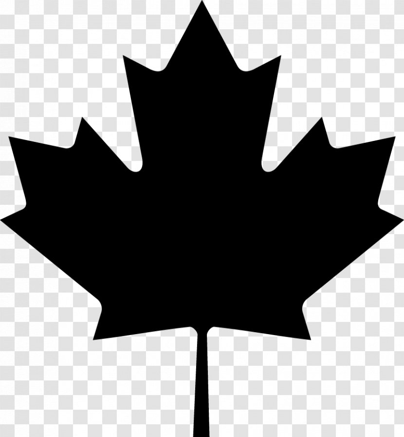 Flag Of Canada Maple Leaf Clip Art - Monochrome Photography - Disposable Vector Transparent PNG