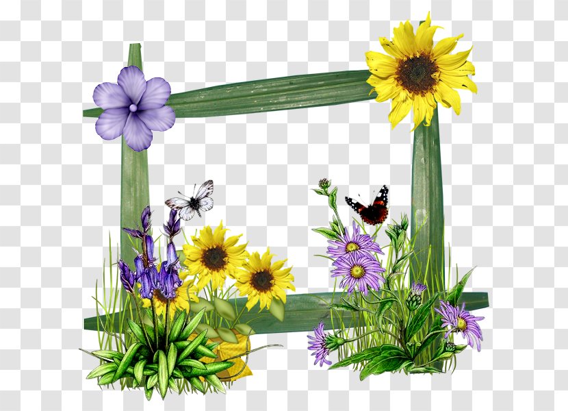 PicMix Animation Photomontage Photography - Annual Plant - Spring Summer Break Transparent PNG