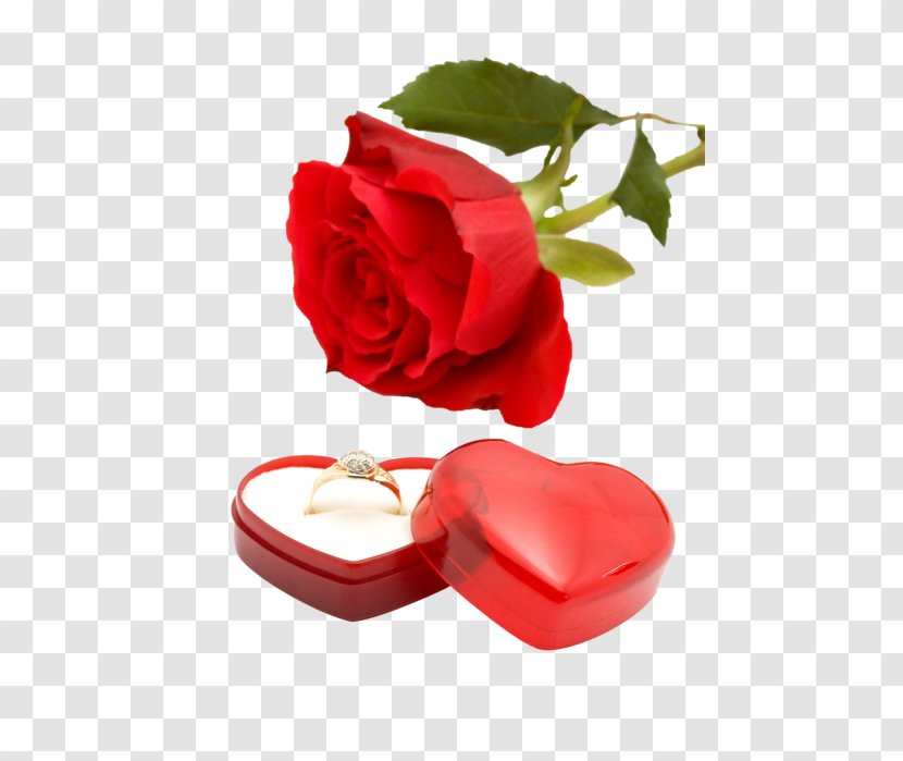 Wedding Invitation Ring Flower Rose - Romance Transparent PNG