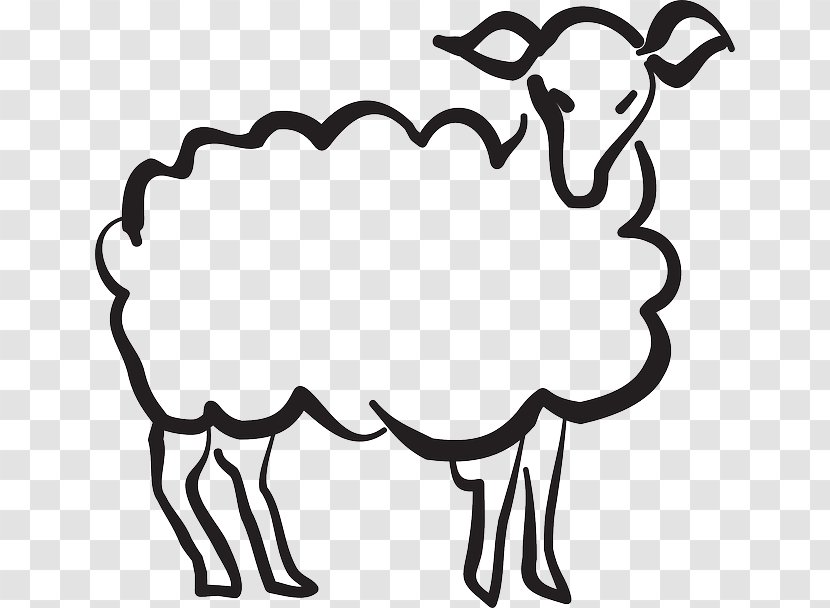 Precious Lamb Sheep Drawing Image Illustration - Sheepish Pictogram Transparent PNG