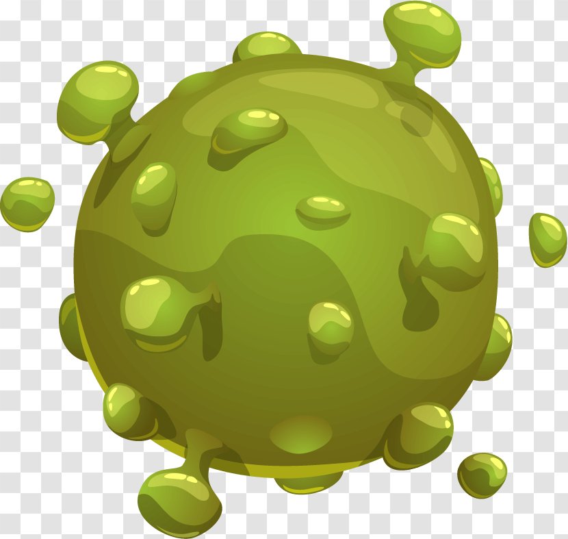 Grass Fruit Amphibian - Green - Bacteria Transparent PNG