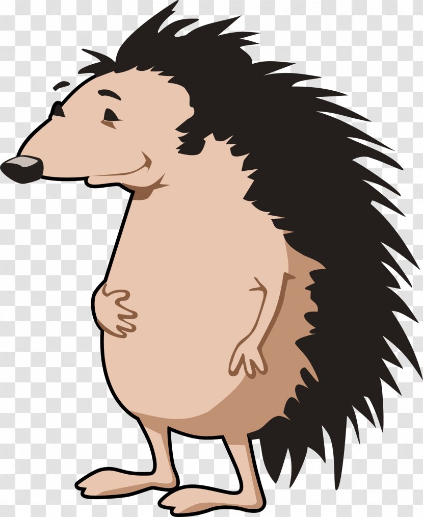 Hedgehog Free Content Clip Art - Bear - Porcupine Cliparts Transparent PNG