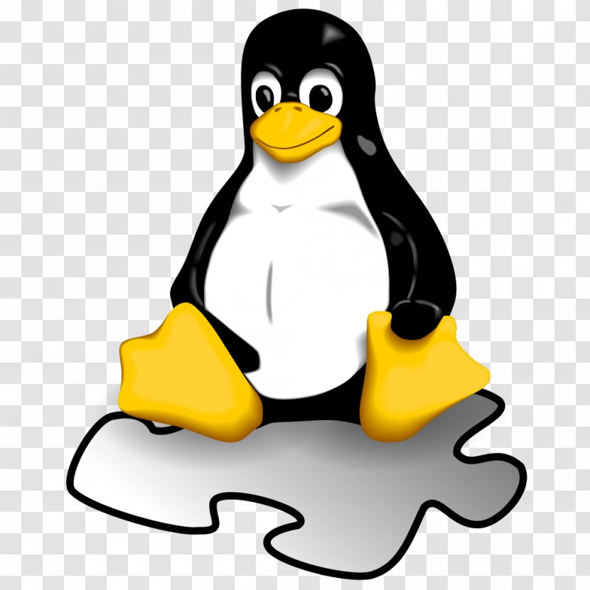 Linux Operating Systems Installation Computer Software - Penguin Transparent PNG