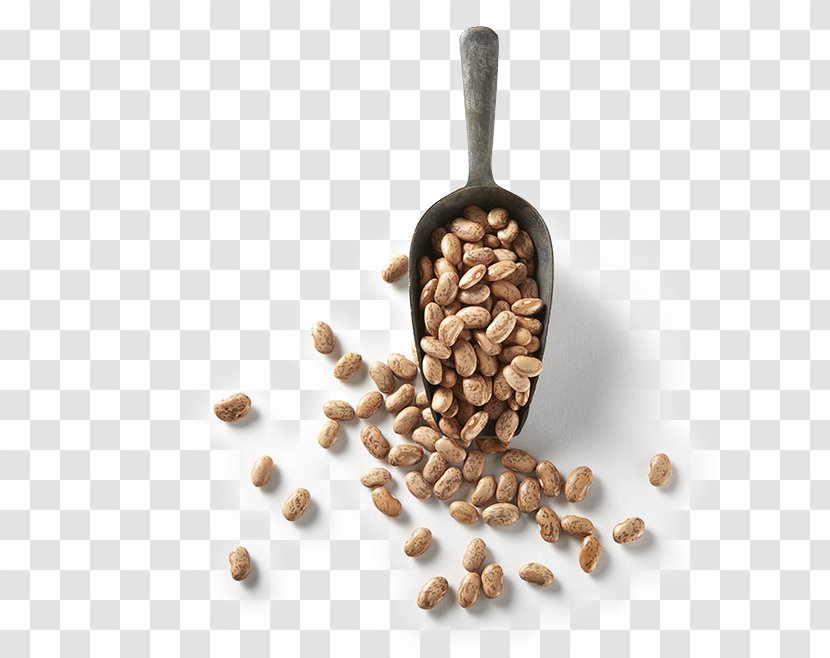 Refried Beans Pinto Bean Food Nut - Commodity - Barroco Transparent PNG