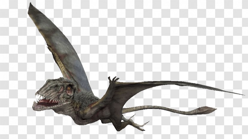 Dimorphodon Pteranodon Edmontosaurus Flying Reptiles Quetzalcoatlus - Fauna - Jurassic Park Transparent PNG