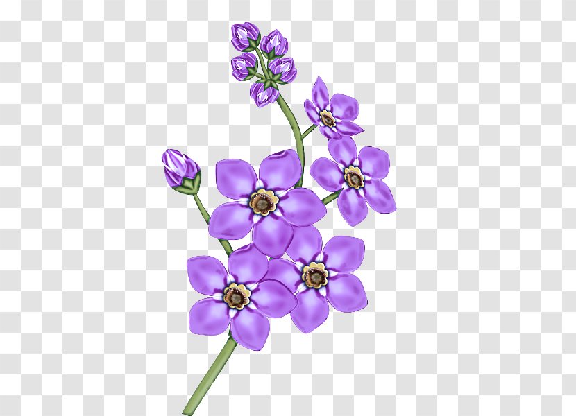 Lavender - Wildflower Cut Flowers Transparent PNG