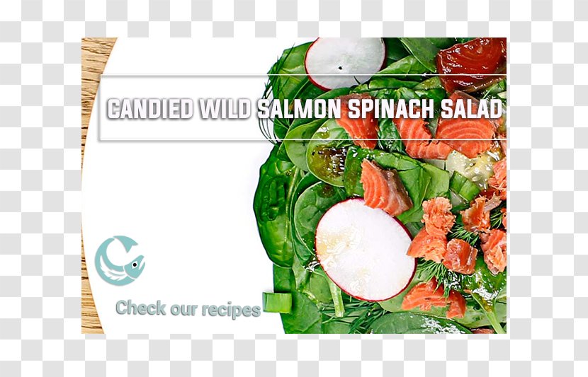 Spinach Salad Vegetable Sockeye Salmon - Cucumber Transparent PNG