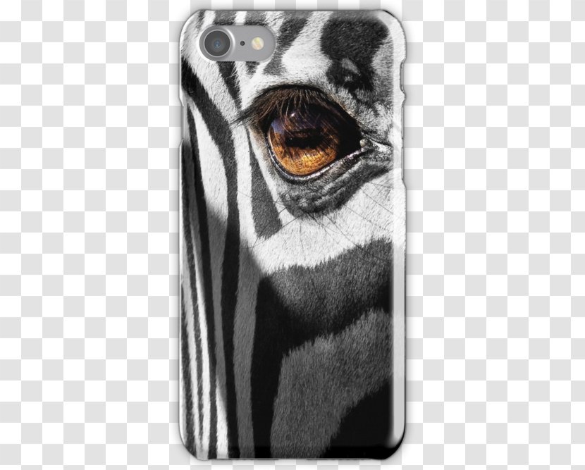 Mammal Snout Beak White - Monochrome Photography - Eye Case Transparent PNG