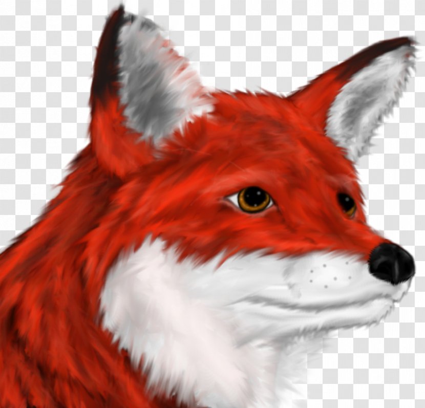 Red Fox Drawing Racing Fur - Head Transparent PNG