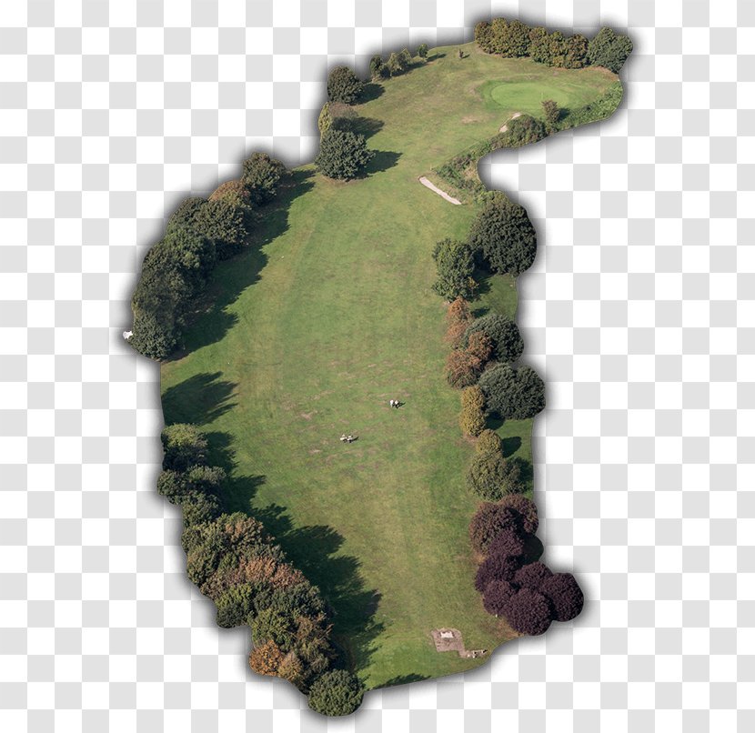 Golf Course Clubs Tees Southsea Club (Portsmouth, Great Salterns) Transparent PNG