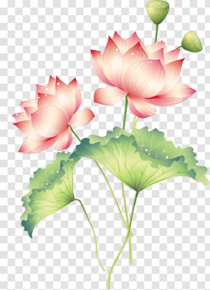 Sichuan Falun Gong Chinese New Year Happiness Loving-kindness - Flower Arranging - Traditional Lotus Transparent PNG