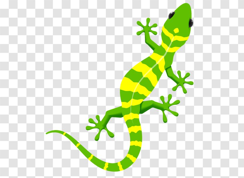 Gecko Lizard Painting Art - Animal Figure - Sprite Transparent PNG