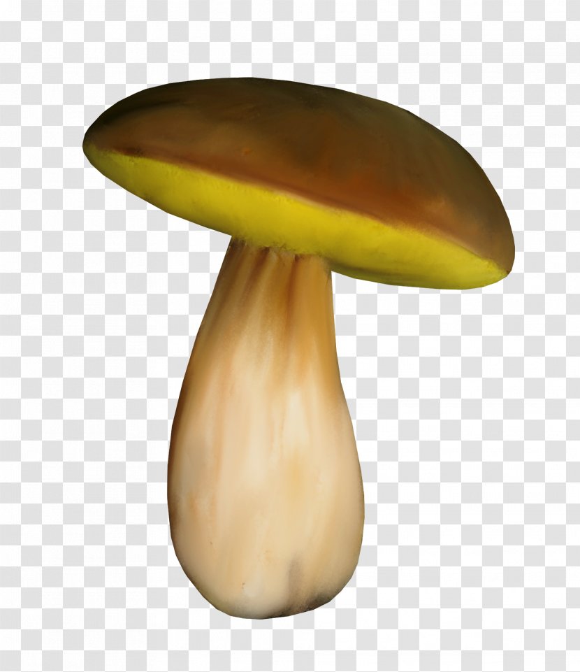 Common Mushroom Fungus Food Transparent PNG