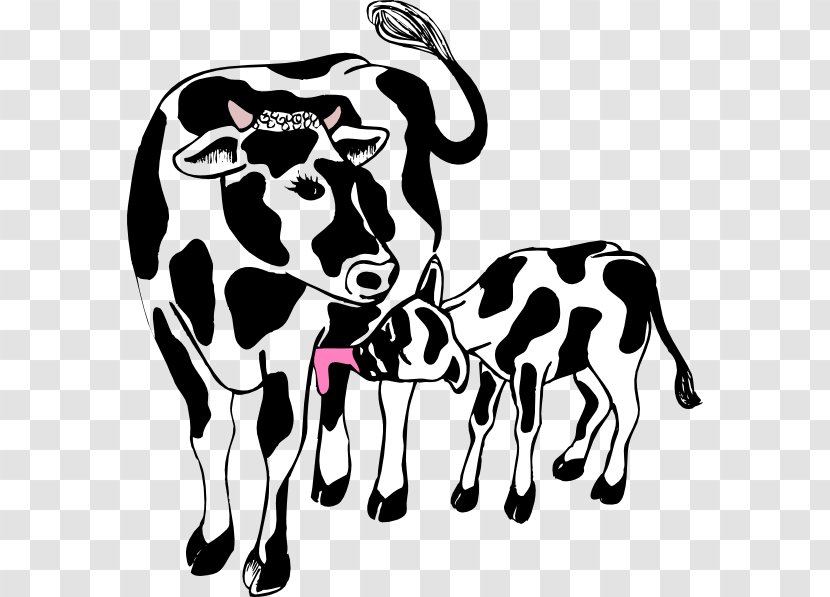 Angus Cattle Beef Calf Clip Art - Copyright - Cliparts Transparent PNG