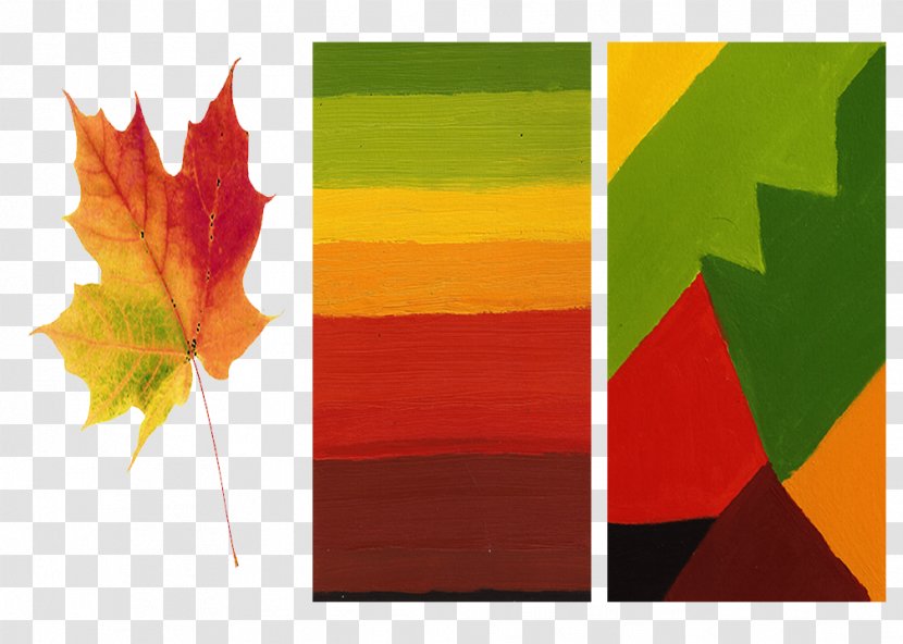 Composition Color Theory Painting Art Transparent PNG