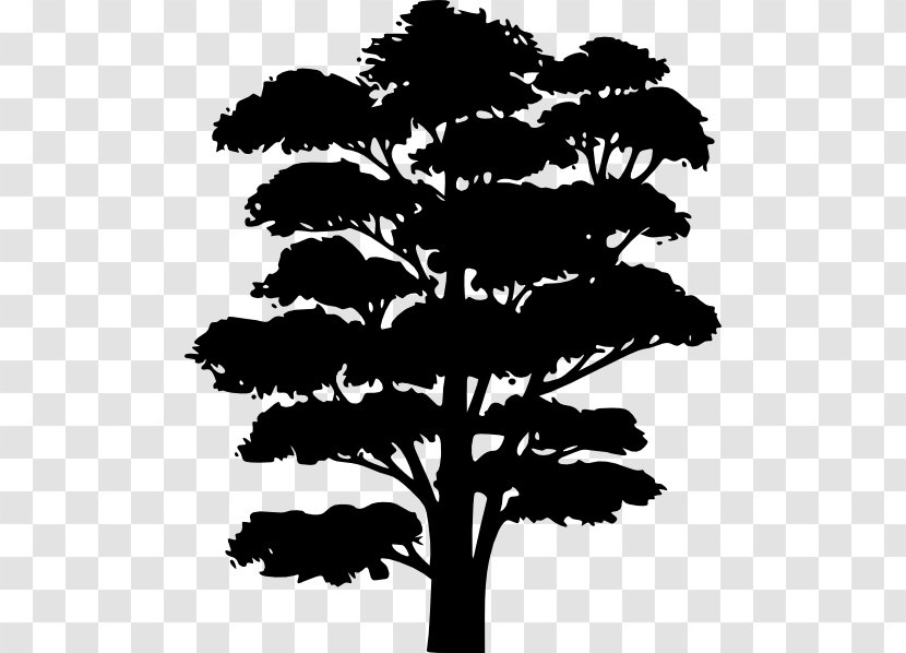 Tree Silhouette Drawing Clip Art - Oak - Trees Transparent PNG