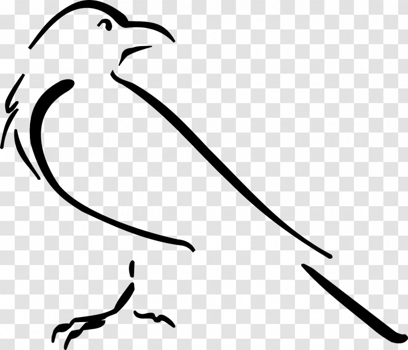 Crow Line Art Drawing Clip - Artwork Transparent PNG