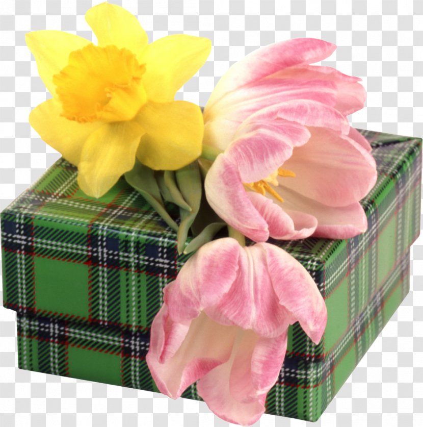 Box Daffodil Gift Tulip Transparent PNG