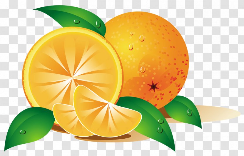 Orange Fruit Clip Art - Superfood - Tropical Transparent PNG