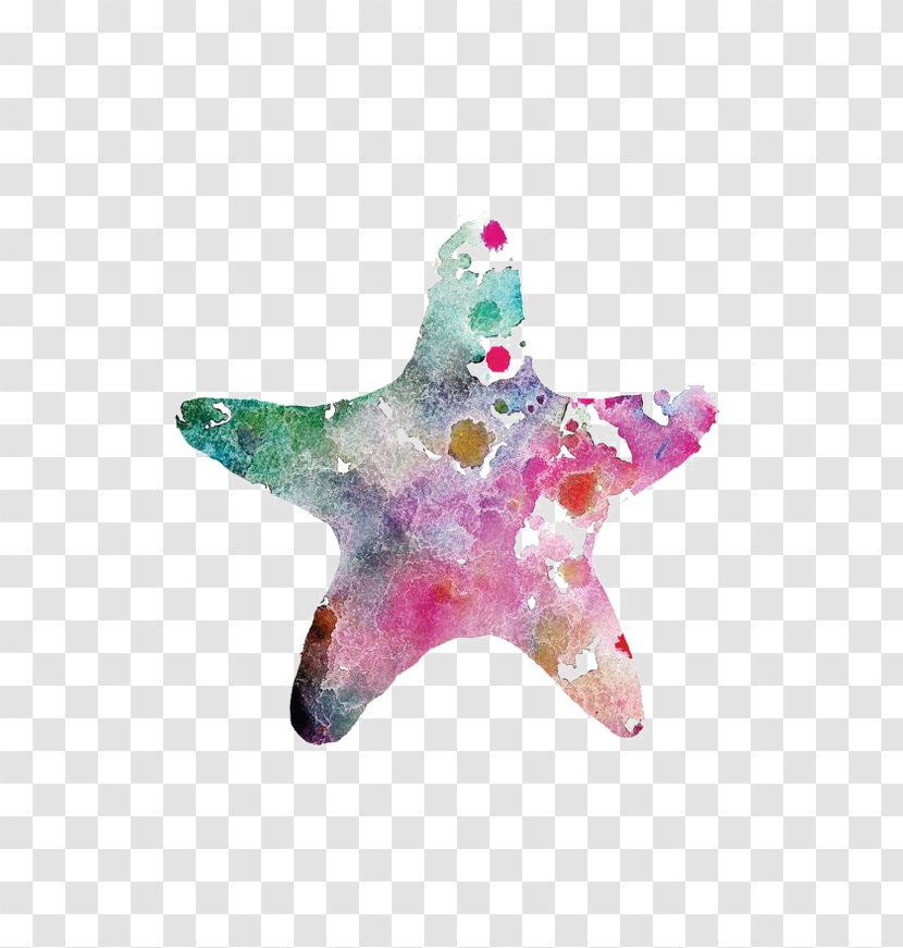Starfish Watercolor Painting Drawing Transparent PNG