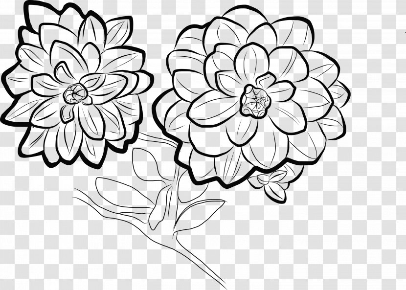 Floral Design Drawing Coloring Book Visual Arts - Plant Stem - Petal Transparent PNG