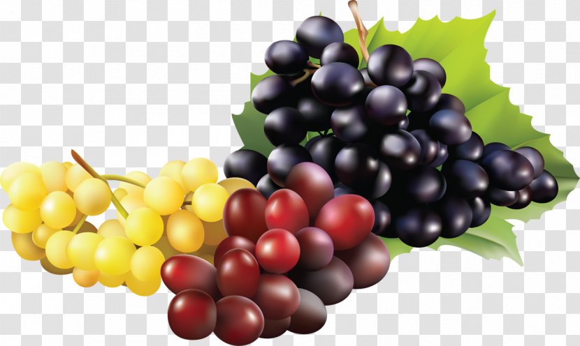 Sultana Grape Kyoho Wine Fruit - Flower Transparent PNG