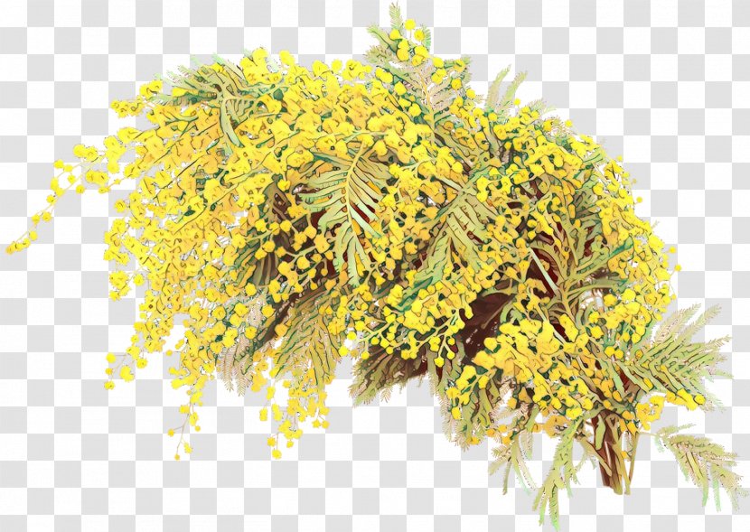 Mimosa - Tree - Goldenrod Transparent PNG
