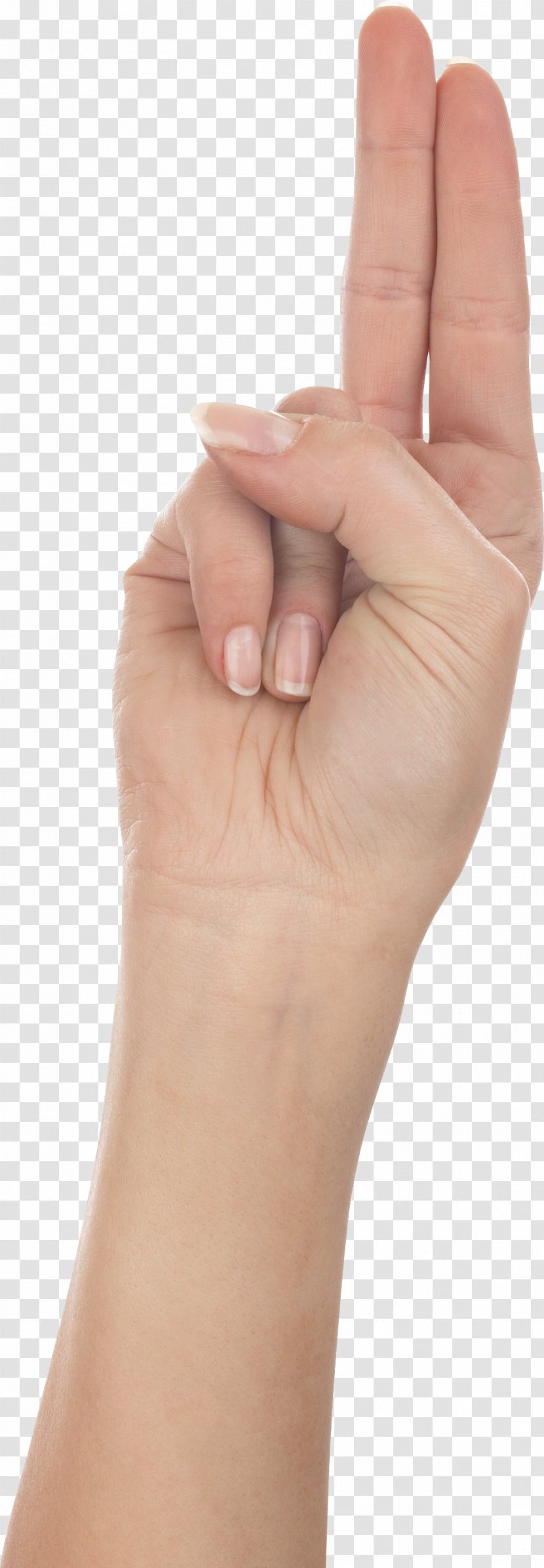 Hand Finger - Joint - Hands , Image Free Transparent PNG
