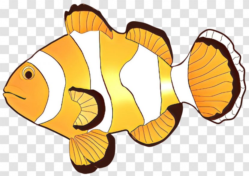 Clip Art Fish Desktop Wallpaper - Seafood - Clownfish Transparent PNG