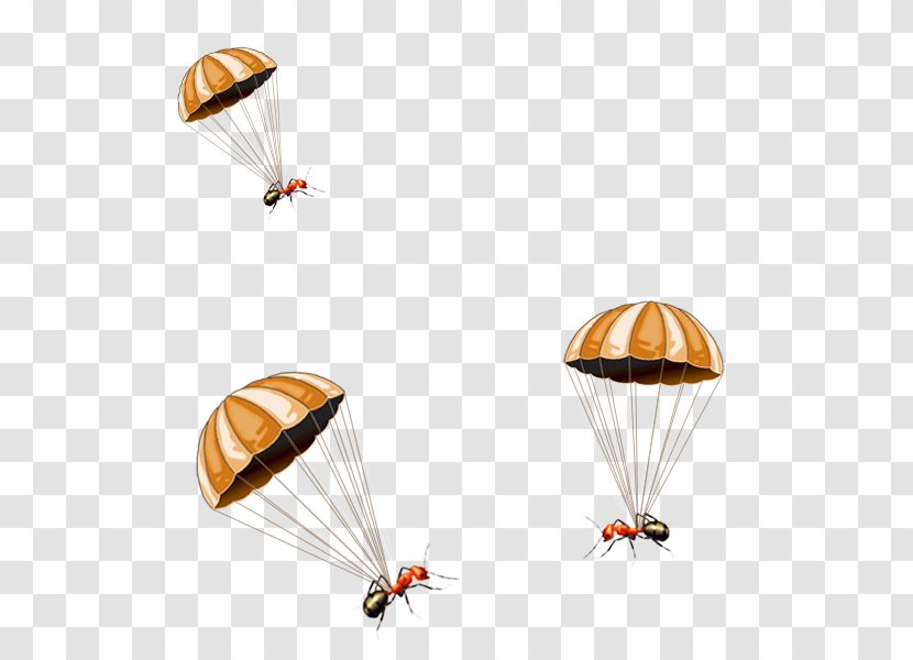 Cartoon Download Illustration - Orange - Parachute Transparent PNG