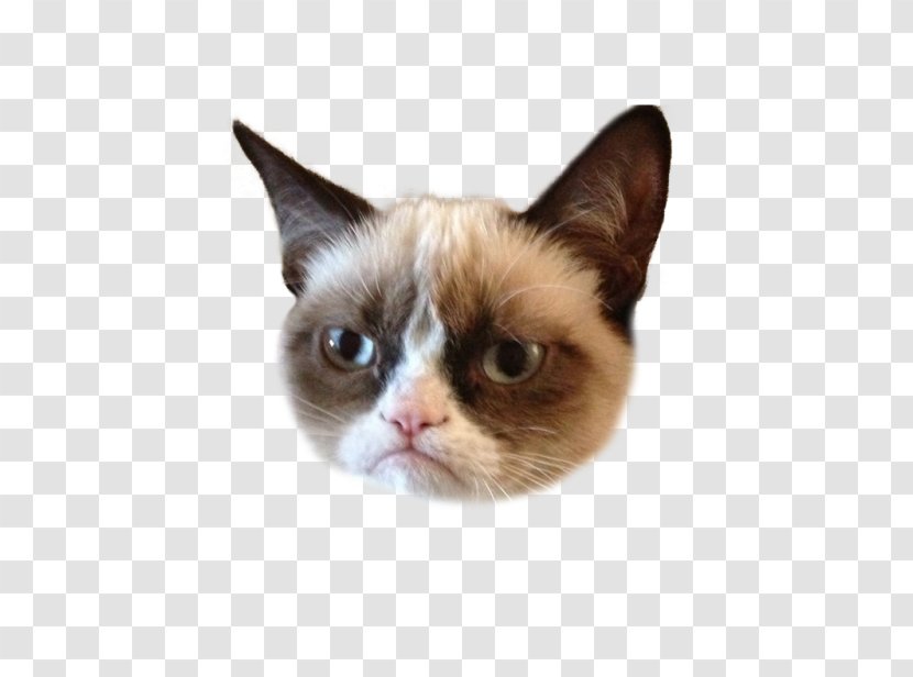 Grumpy Cat Kitten Humour Lolcat - Silhouette - Unicorn Head Transparent PNG