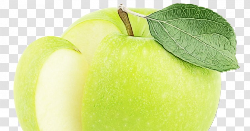 Apple Green Granny Smith Natural Foods Fruit - Wet Ink - Pectin Tree Transparent PNG