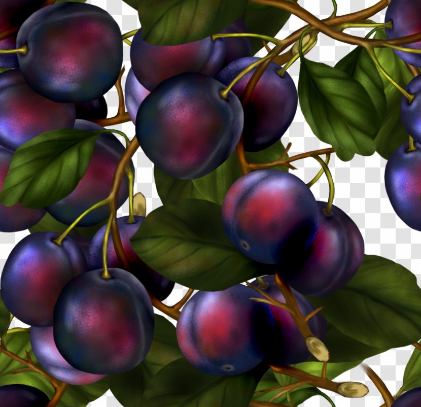 Damson Grape Auglis Fruit - Plum Transparent PNG